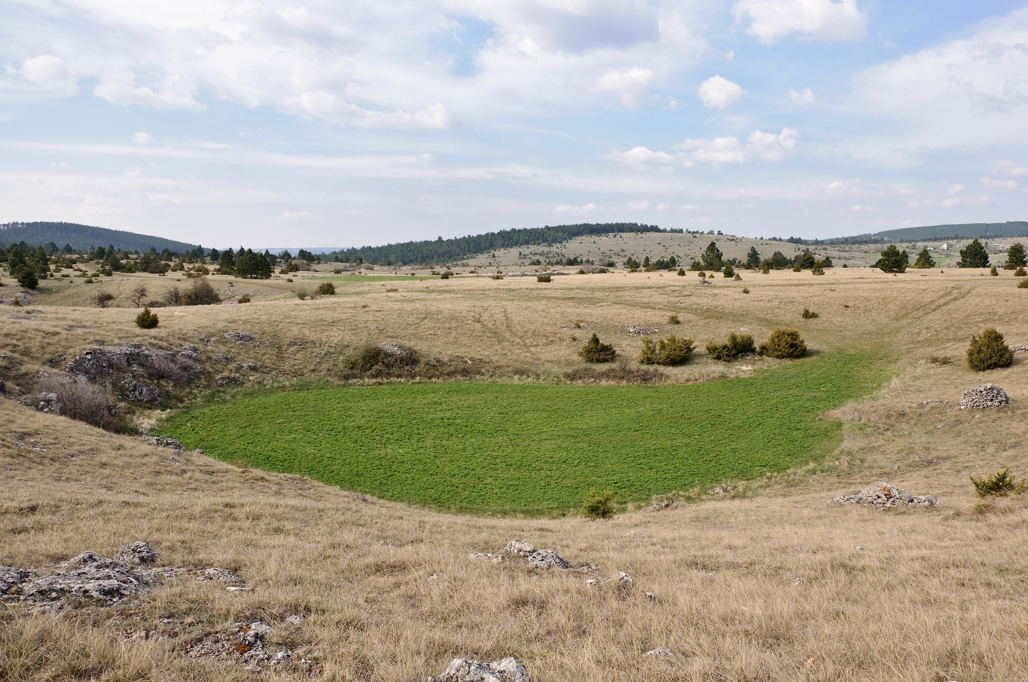 Závrt v  devez des Cheyrouses, Causse de Sauveterre, Lozère, Francie (Autor: Myrabella, CC BY-SA 3.0, Wikimedia Commons)