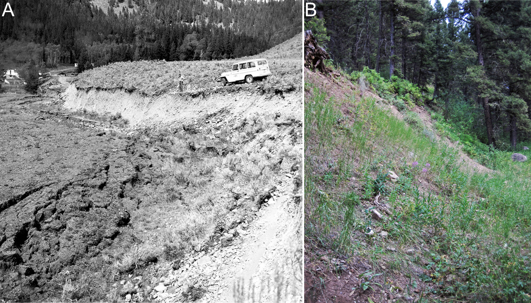 Zlomový sráz, který vznikl při Yellowstonském zemětřesení v roce 1959. A fotografie pořízená těsně po události (autor J. R. Stacy, USGS, volné dílo/Public Domain). B Stupeň již částečně zhlazený difuzními procesy o 59 let později (autor James St. John, CC BY 2.0).